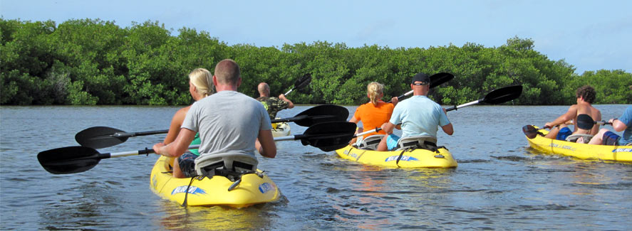 kayakers exploring Florida