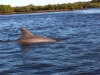 Daytona Beach Kayaking