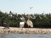 Daytona Beach Kayaking