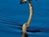 Daytona Beach Kayaking