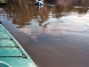 Daytona Beach Kayaking