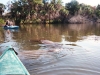 Daytona Beach Kayaking