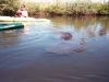 Daytona Beach Kayaking