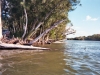 Daytona Beach Kayaking