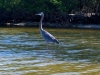 Daytona Beach Kayaking