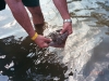 Daytona Beach Kayaking