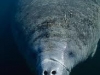 Daytona Beach Kayaking